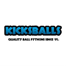 Kicks Balls